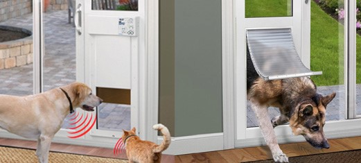 High Tech Pet Brand