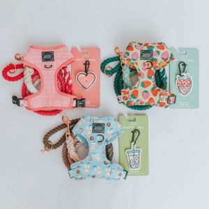 Walk Essentials