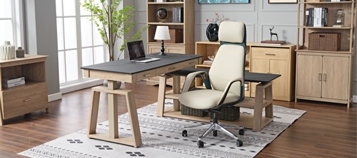 Eureka Ergonomic